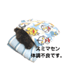 トイプーRとインコのチューちゃん（個別スタンプ：14）