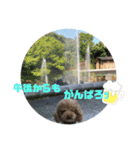 梅雨時スタンプ☂️（個別スタンプ：3）