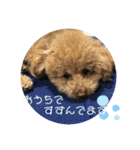 梅雨時スタンプ☂️（個別スタンプ：9）