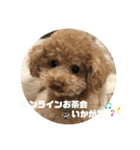 梅雨時スタンプ☂️（個別スタンプ：14）