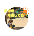 梅雨時スタンプ☂️（個別スタンプ：24）