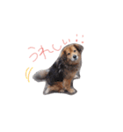 ひばたんだお・改（個別スタンプ：2）