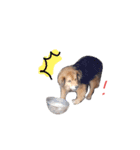 ひばたんだお・改（個別スタンプ：11）