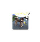 ひばたんだお・改（個別スタンプ：13）