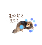 ひばたんだお・改（個別スタンプ：14）