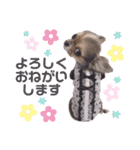 チワワの胡桃ちゃん②（個別スタンプ：3）