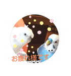 クリンちゃん ＆ ミントちゃん   パート①（個別スタンプ：6）