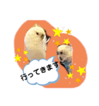 クリンちゃん ＆ ミントちゃん   パート①（個別スタンプ：7）