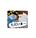 クリンちゃん ＆ ミントちゃん   パート①（個別スタンプ：8）