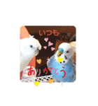 クリンちゃん ＆ ミントちゃん   パート①（個別スタンプ：9）