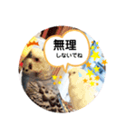 クリンちゃん ＆ ミントちゃん   パート①（個別スタンプ：23）