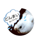 クリンちゃん ＆ ミントちゃん   パート①（個別スタンプ：26）