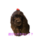 アメコのレクさん（個別スタンプ：9）
