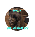 アメコのレクさん（個別スタンプ：12）