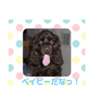 アメコのレクさん（個別スタンプ：13）