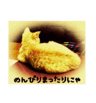 道頓堀のにゃんこ（個別スタンプ：1）