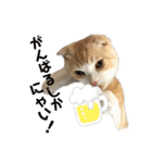 We love むーちゃん(子猫編)（個別スタンプ：2）