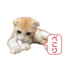 We love むーちゃん(子猫編)（個別スタンプ：8）