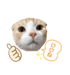 We love むーちゃん(子猫編)（個別スタンプ：11）