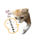 We love むーちゃん(子猫編)（個別スタンプ：13）