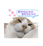 We love むーちゃん(子猫編)（個別スタンプ：18）