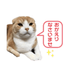 We love むーちゃん(子猫編)（個別スタンプ：22）