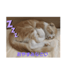 We love むーちゃん(子猫編)（個別スタンプ：24）