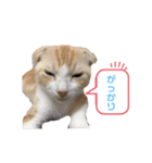 We love むーちゃん(子猫編)（個別スタンプ：25）