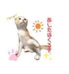 We love むーちゃん(子猫編)（個別スタンプ：26）