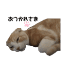 We love むーちゃん(子猫編)（個別スタンプ：29）