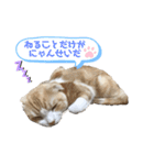 We love むーちゃん(子猫編)（個別スタンプ：30）