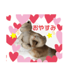 We love むーちゃん(子猫編)（個別スタンプ：34）