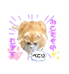 We love むーちゃん(子猫編)（個別スタンプ：36）