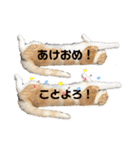 We love むーちゃん(子猫編)（個別スタンプ：39）