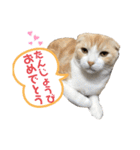 We love むーちゃん(子猫編)（個別スタンプ：40）