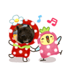 甲斐犬天佑5（個別スタンプ：14）