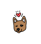 柴犬こんちゃん（個別スタンプ：2）
