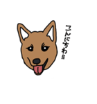 柴犬こんちゃん（個別スタンプ：4）