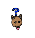 柴犬こんちゃん（個別スタンプ：5）