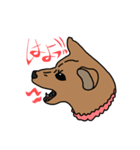 柴犬こんちゃん（個別スタンプ：8）