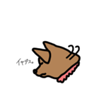 柴犬こんちゃん（個別スタンプ：9）
