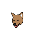 柴犬こんちゃん（個別スタンプ：12）