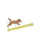 柴犬こんちゃん（個別スタンプ：18）