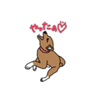 柴犬こんちゃん（個別スタンプ：22）