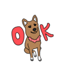 柴犬こんちゃん（個別スタンプ：23）