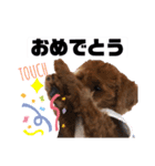 美美♥（個別スタンプ：5）
