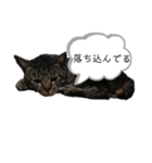 レモン＆リッキー＆ネズミw 2（個別スタンプ：16）