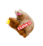 我が家の次女♡♥︎♡（個別スタンプ：1）