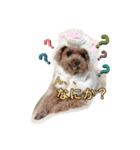 我が家の次女♡♥︎♡（個別スタンプ：5）