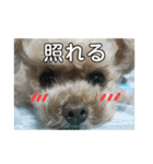 我が家の次女♡♥︎♡（個別スタンプ：6）